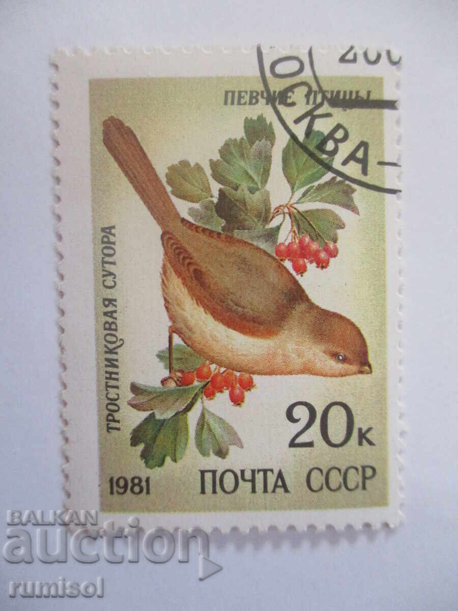 Postage stamp - Reed warbler Postage stamp - Reed warbler