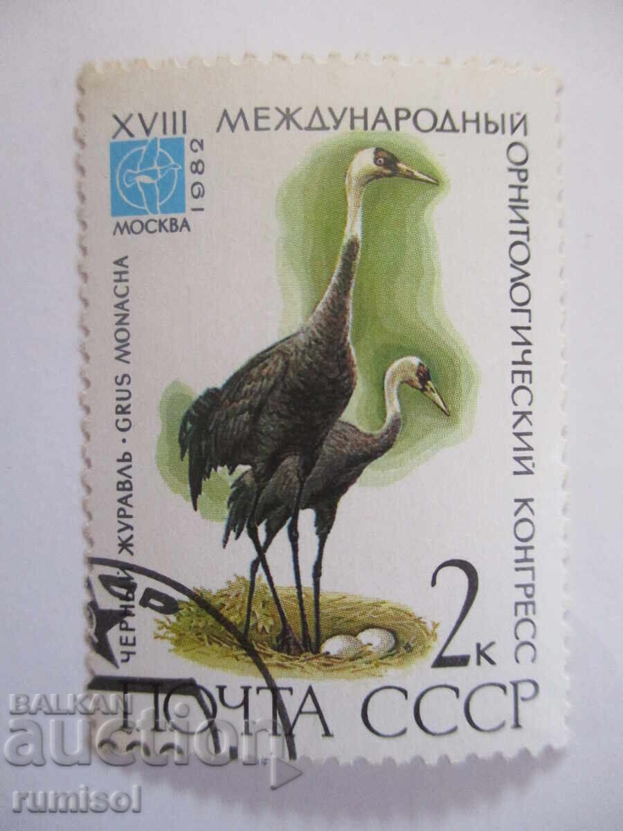 Postage Stamp - Black Crane