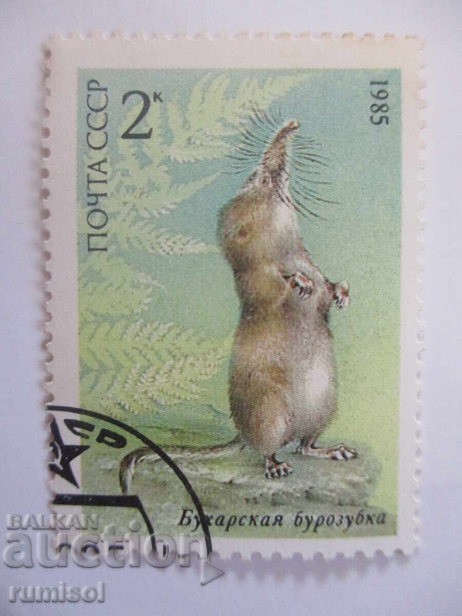 Пощенска марка - Букарская бурозубка Пощенска марка - Букарская бурозубка