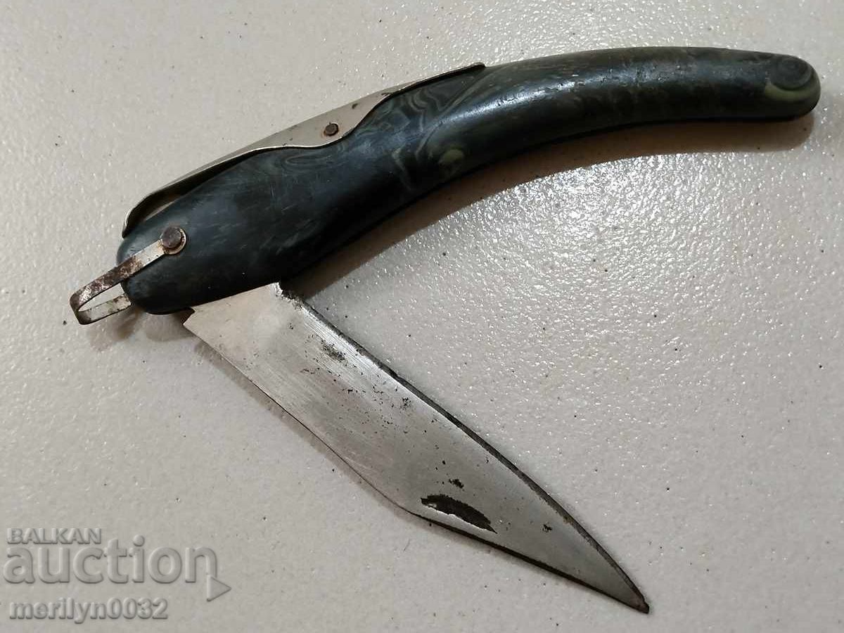 Auction Old leg Auction Old leg