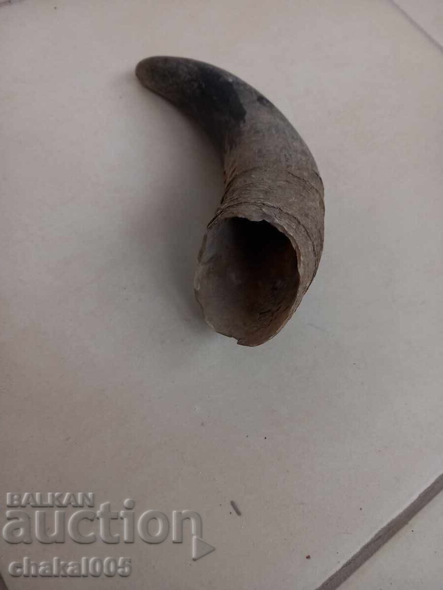 Old horn for a powder flask with price 15.00 BGN | € 7.67 Old horn for a powder flask with price 15.00 BGN | € 7.67