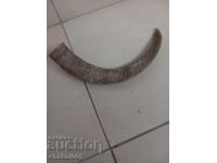 Mare corn pentru butoiaș de praf de pușcă