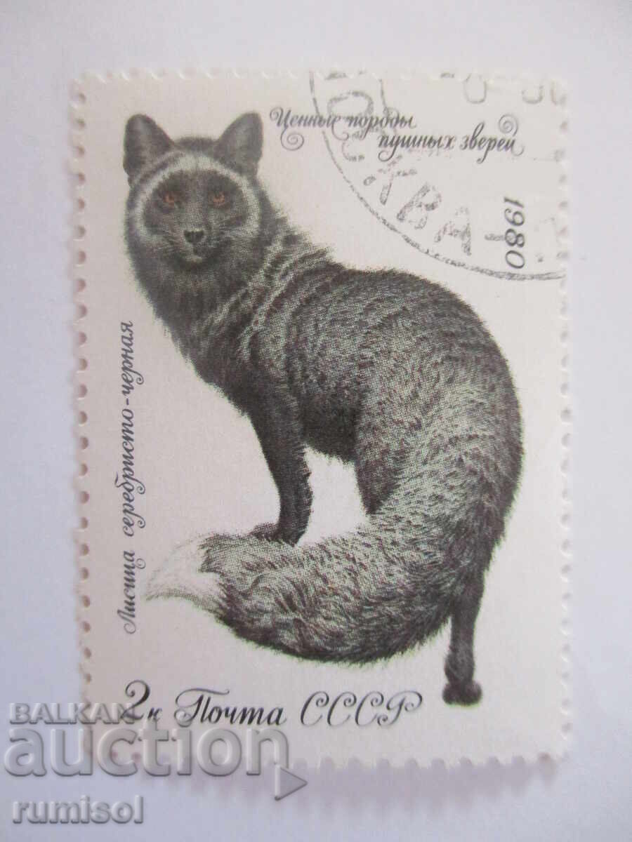 Пощенска марка - Лисица серебристо-черная Пощенска марка - Лисица серебристо-черная