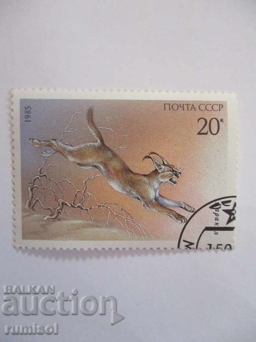 Postage Stamp - Caracal Postage Stamp - Caracal