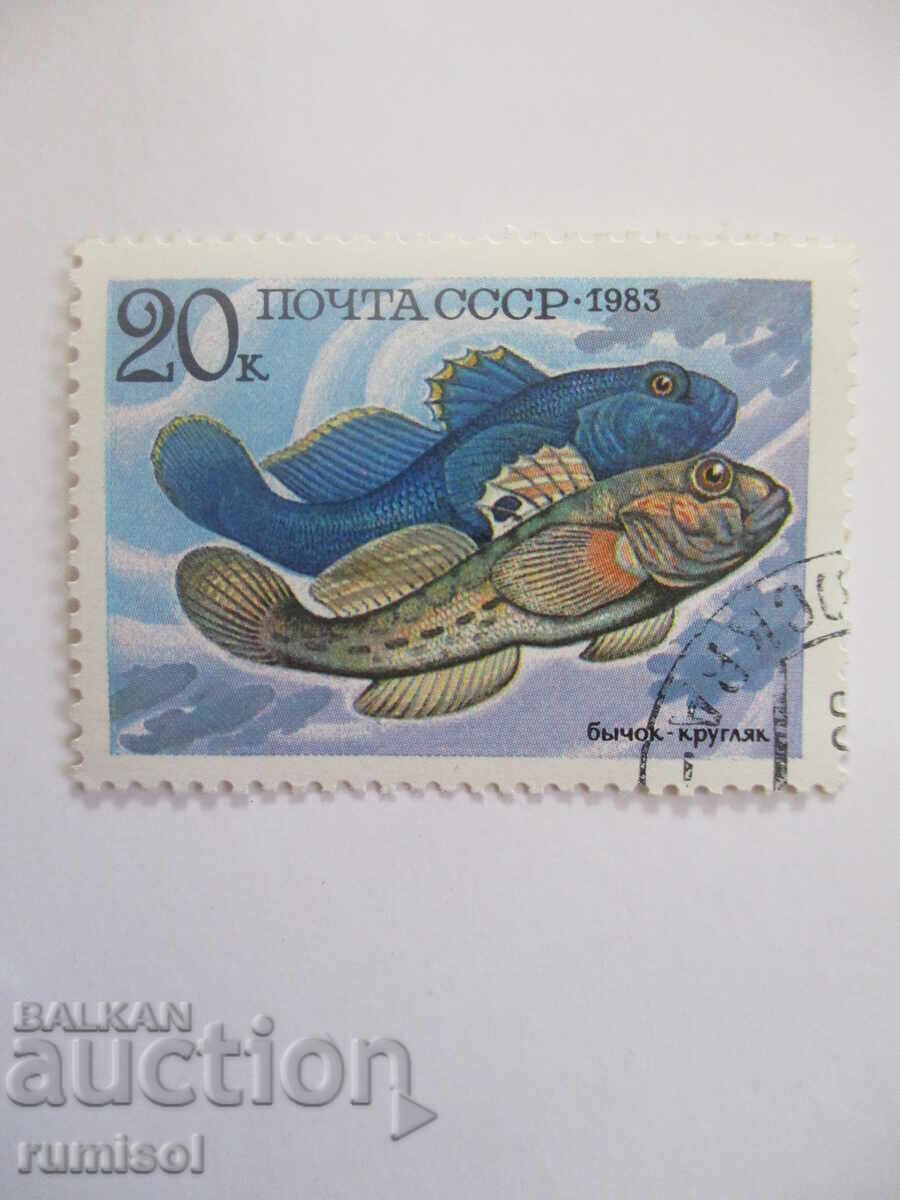 Timbre poștal - Vițel - rotunjit