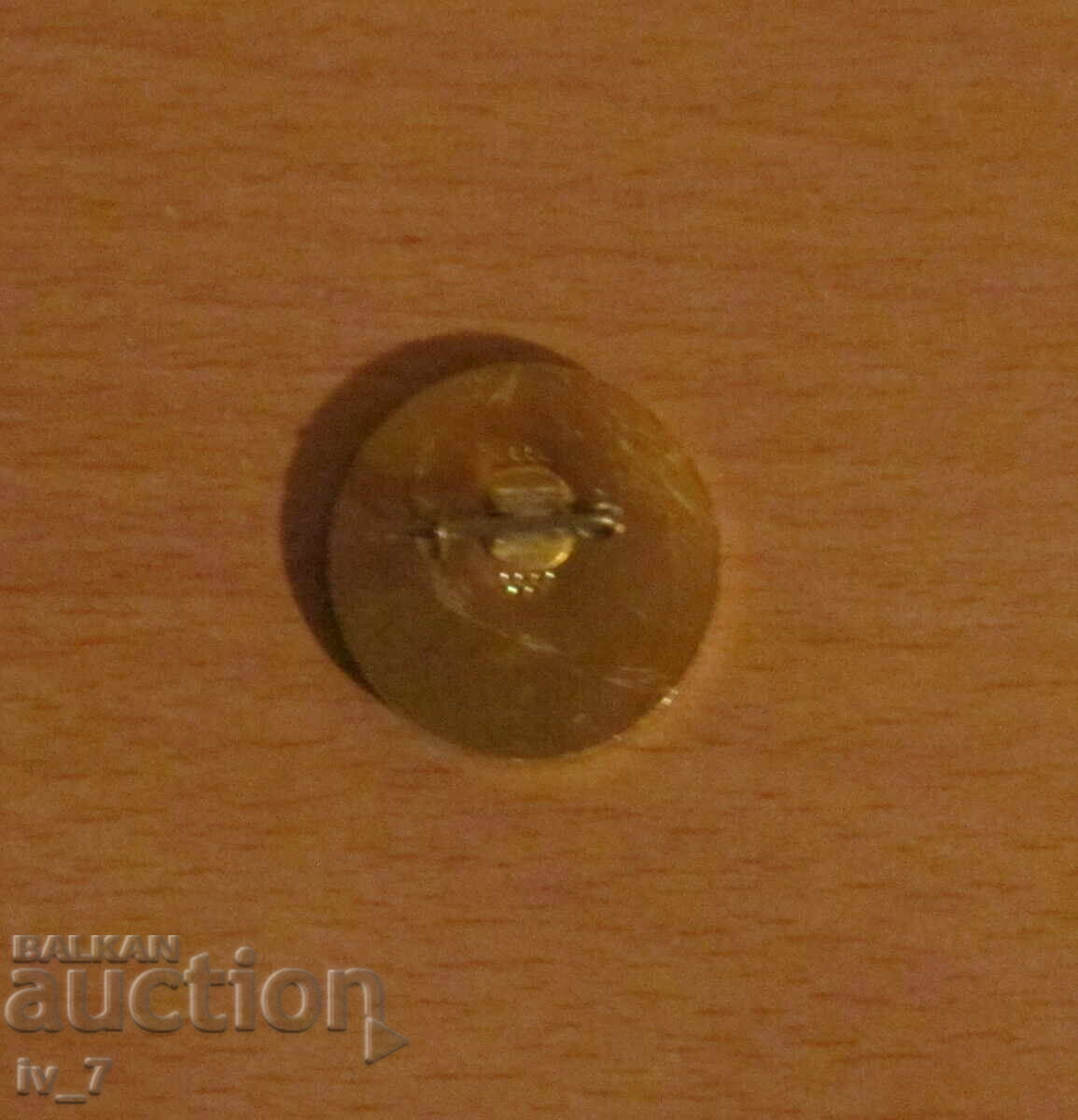 insignă cu preț 2.99 BGN | € 1.53 insignă cu preț 2.99 BGN | € 1.53