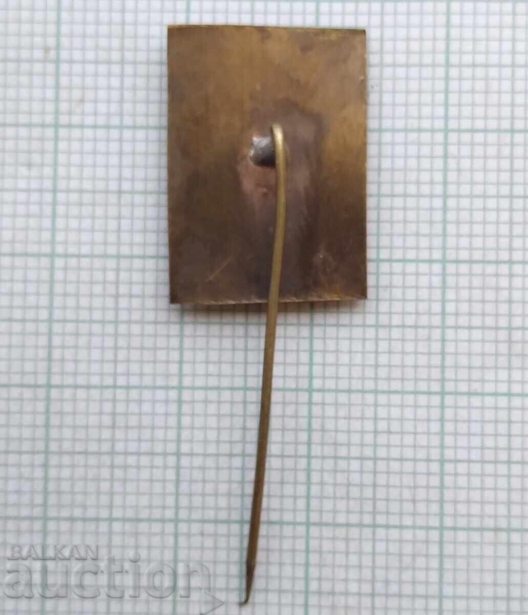 Delivery of 18649 Badges - TNTM Peshtera Delivery of 18649 Badges - TNTM Peshtera