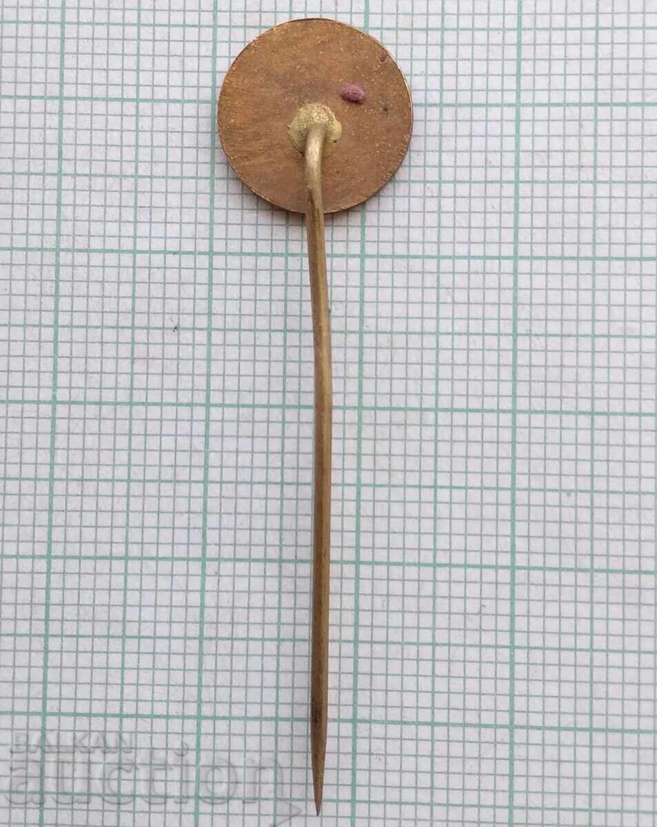 Auction  18657 Badge - Omnipol - Bronze Enamel