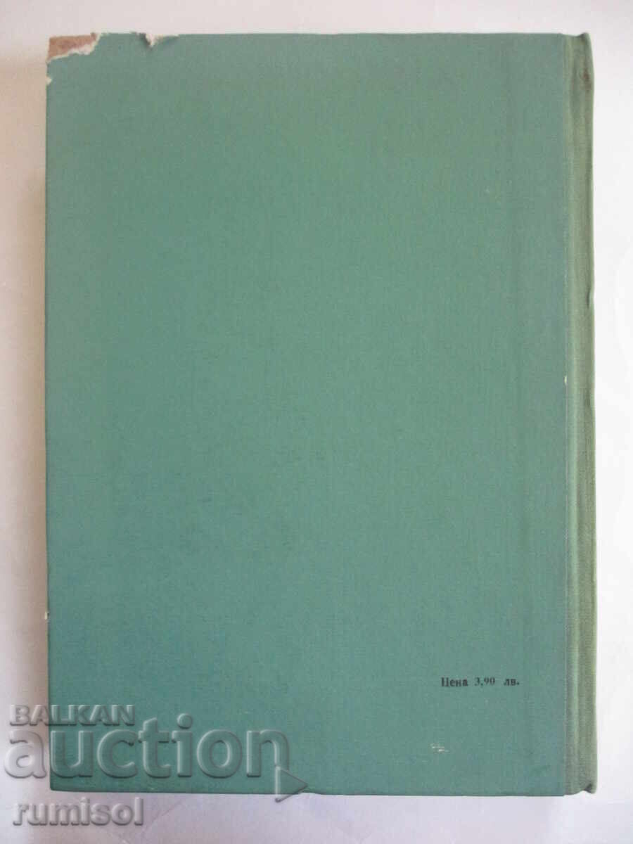 Mathematics and mathematics education - 5