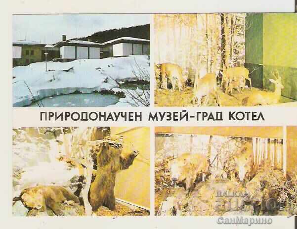 Bulgaria Card Kotel Natural Science Museum 1* Bulgaria Card Kotel Natural Science Museum 1*