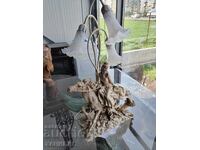 MANY BEAUTIFUL NIGHT LAMP