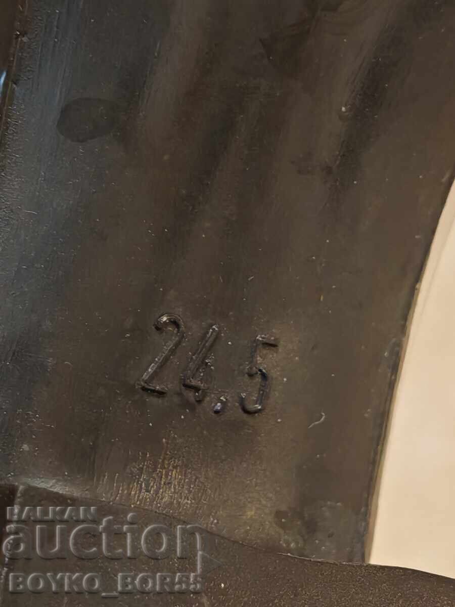 Three Pairs of Skates: Two Summer and One Winter - 5