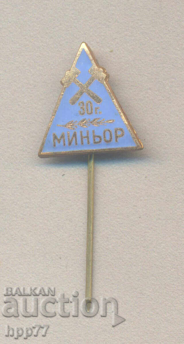 Ryadkiĭ ποδοσφαιρικός σήμα 30 χρόνια ΜΙΝΕΡ σμάλτο