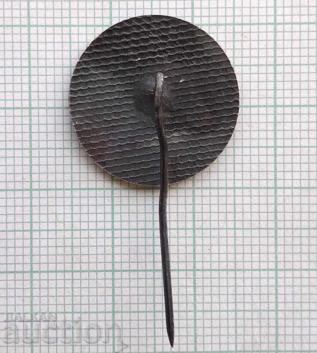 Auction  18674 Badges - Ethnographic Park-Museum Etar