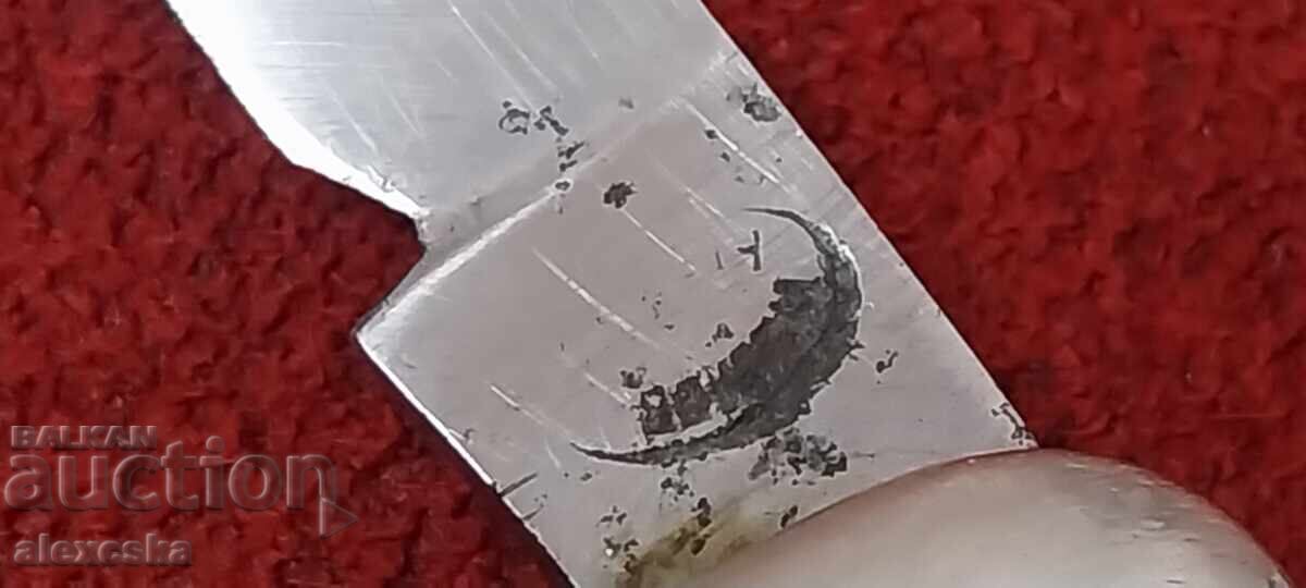 Old leg - "P. Denev" - 6