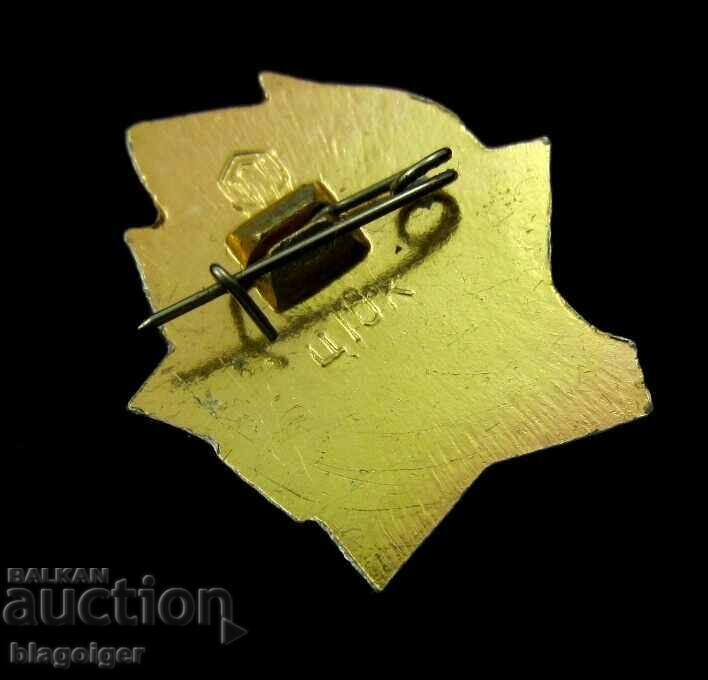 Insigna Pionier-URSS-Ecuson de membru vechi - 5 Insigna Pionier-URSS-Ecuson de membru vechi - 5