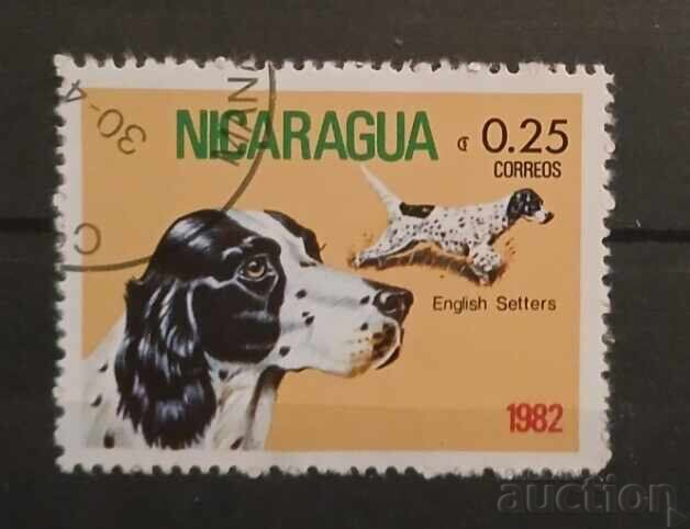 Νικαράγουα Πανίδα/Σκύλοι Νικαράγουα Πανίδα/Σκύλοι