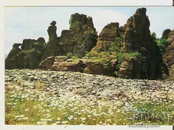 Картичка България Белоградчик Белоградчишките скали 13* Картичка България Белоградчик Белоградчишките скали 13*