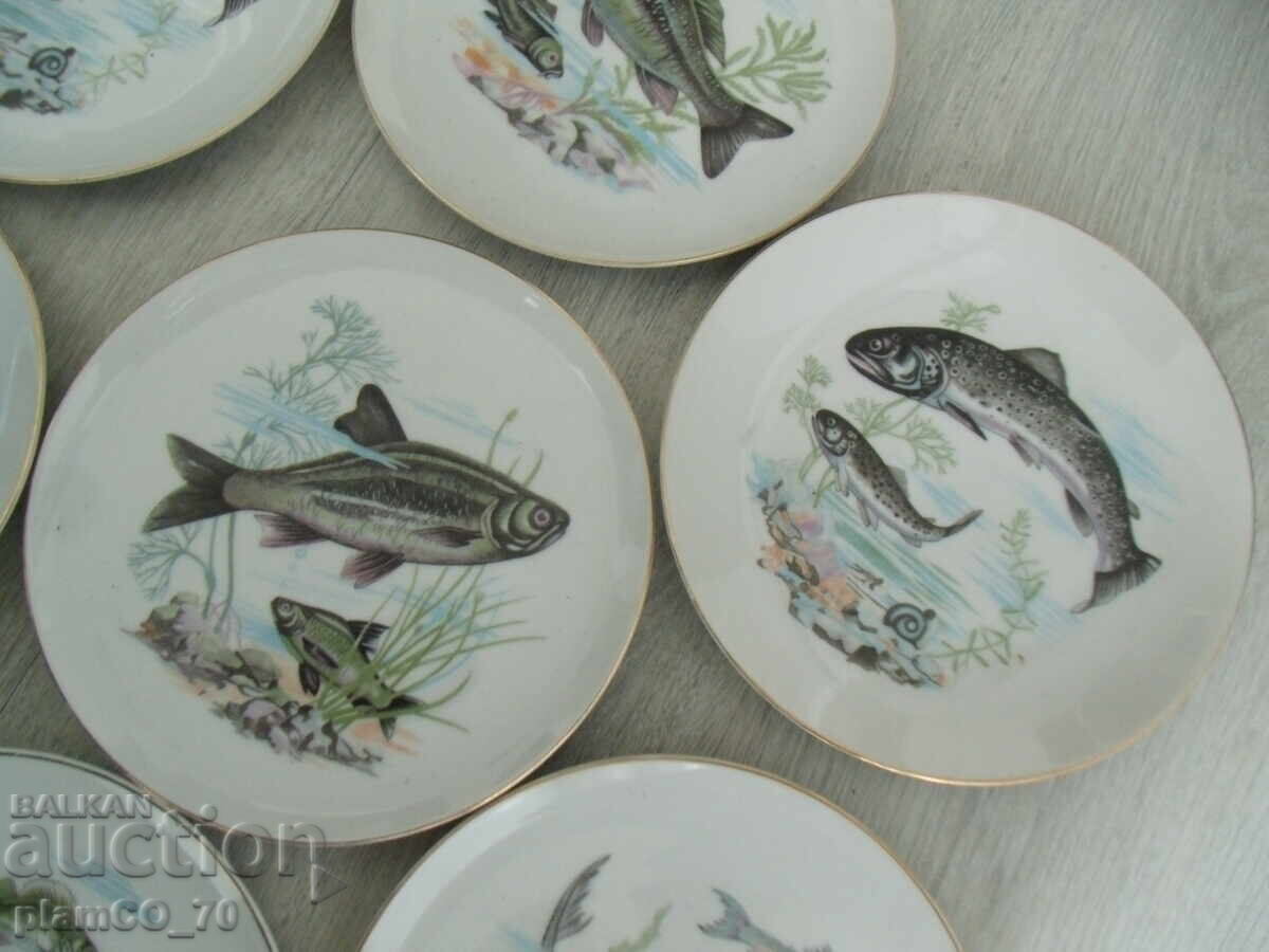 Παράδοση №*7964 παλιά ιαπωνικά πορσελάνινα πιάτα - 7 τεμάχια - SAITO JAPAN