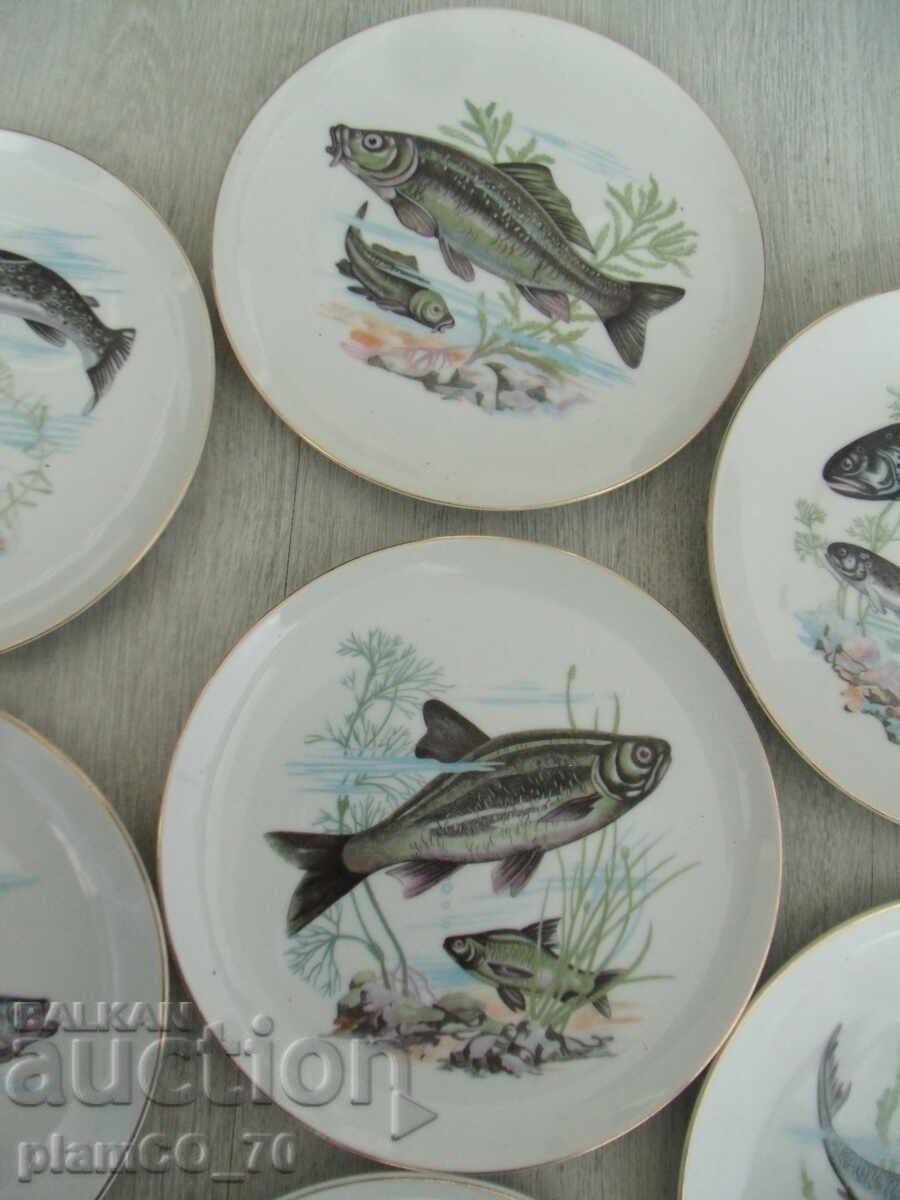 №*7964 παλιά ιαπωνικά πορσελάνινα πιάτα - 7 τεμάχια - SAITO JAPAN - 5