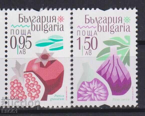 Clean stamps Flora Exotic Fruits 2025 from Bulgaria Clean stamps Flora Exotic Fruits 2025 from Bulgaria