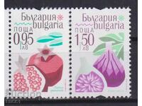 Clean stamps Flora Exotic Fruits 2025 from Bulgaria