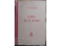Ce să facem? Nikolai Cernîșevski