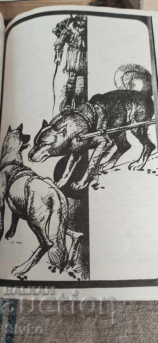 The White Fang, The Call of the Wild, Jack London, many illustrations - 5