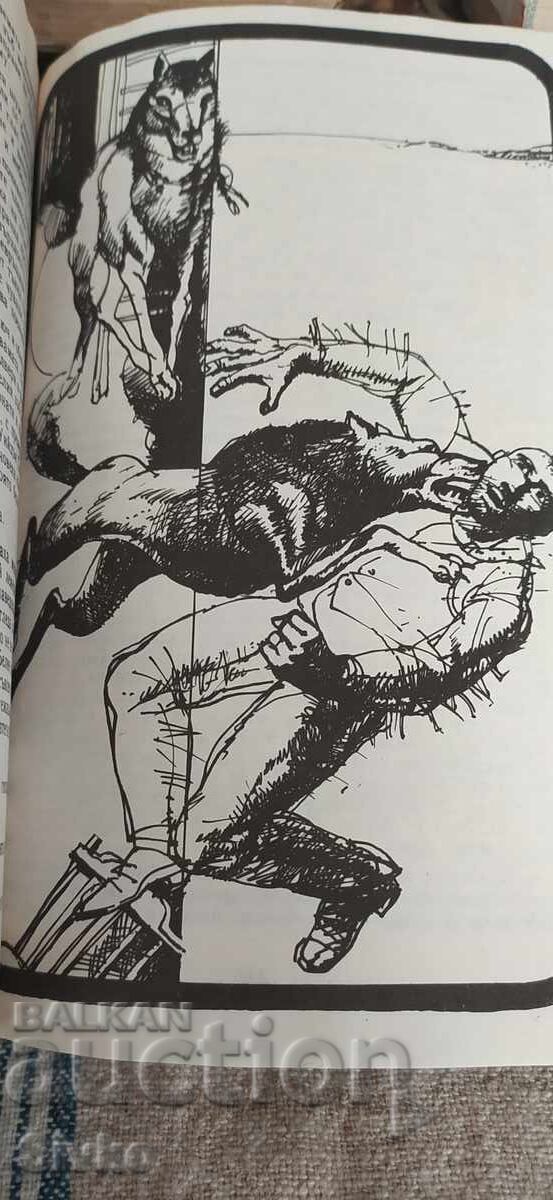 The White Fang, The Call of the Wild, Jack London, many illustrations - 6