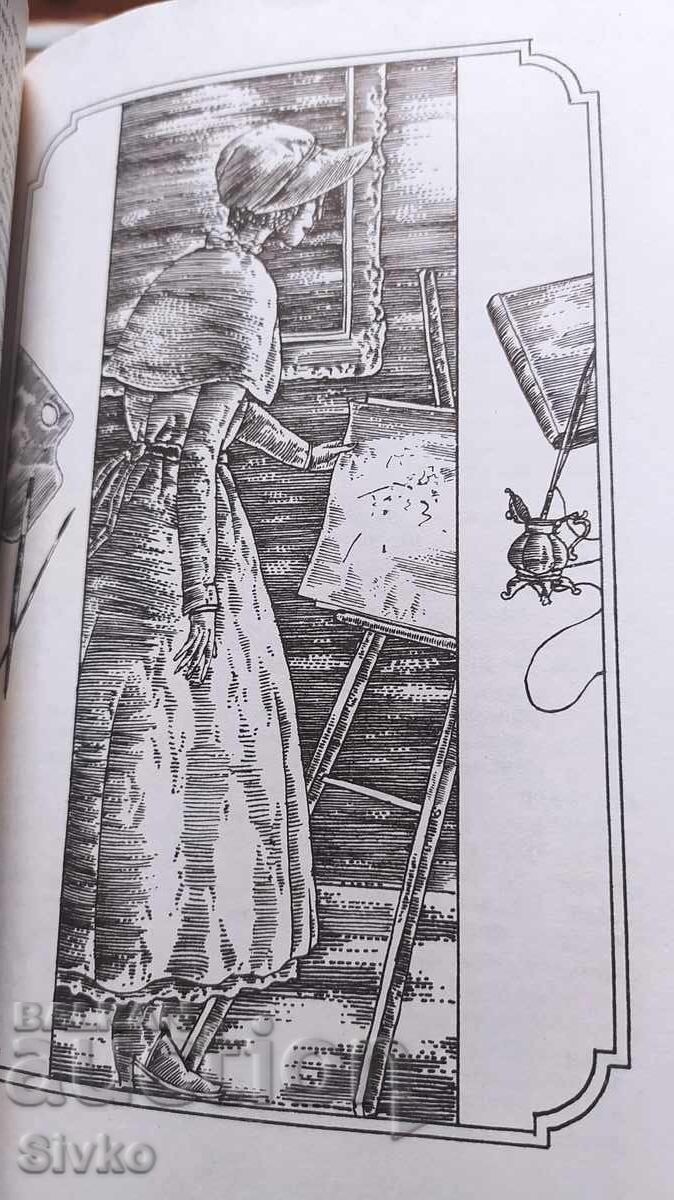 Delivery of Clarence, Francis Bret Harte, first edition, many illustrations Delivery of Clarence, Francis Bret Harte, first edition, many illustrations