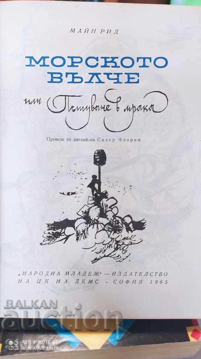 Δημοπρασία Το θαλασσινό λύκο ή Ταξίδι στο σκοτάδι, Μαίην Ριντ, πολύ εικονογραφημένο Δημοπρασία Το θαλασσινό λύκο ή Ταξίδι στο σκοτάδι, Μαίην Ριντ, πολύ εικονογραφημένο