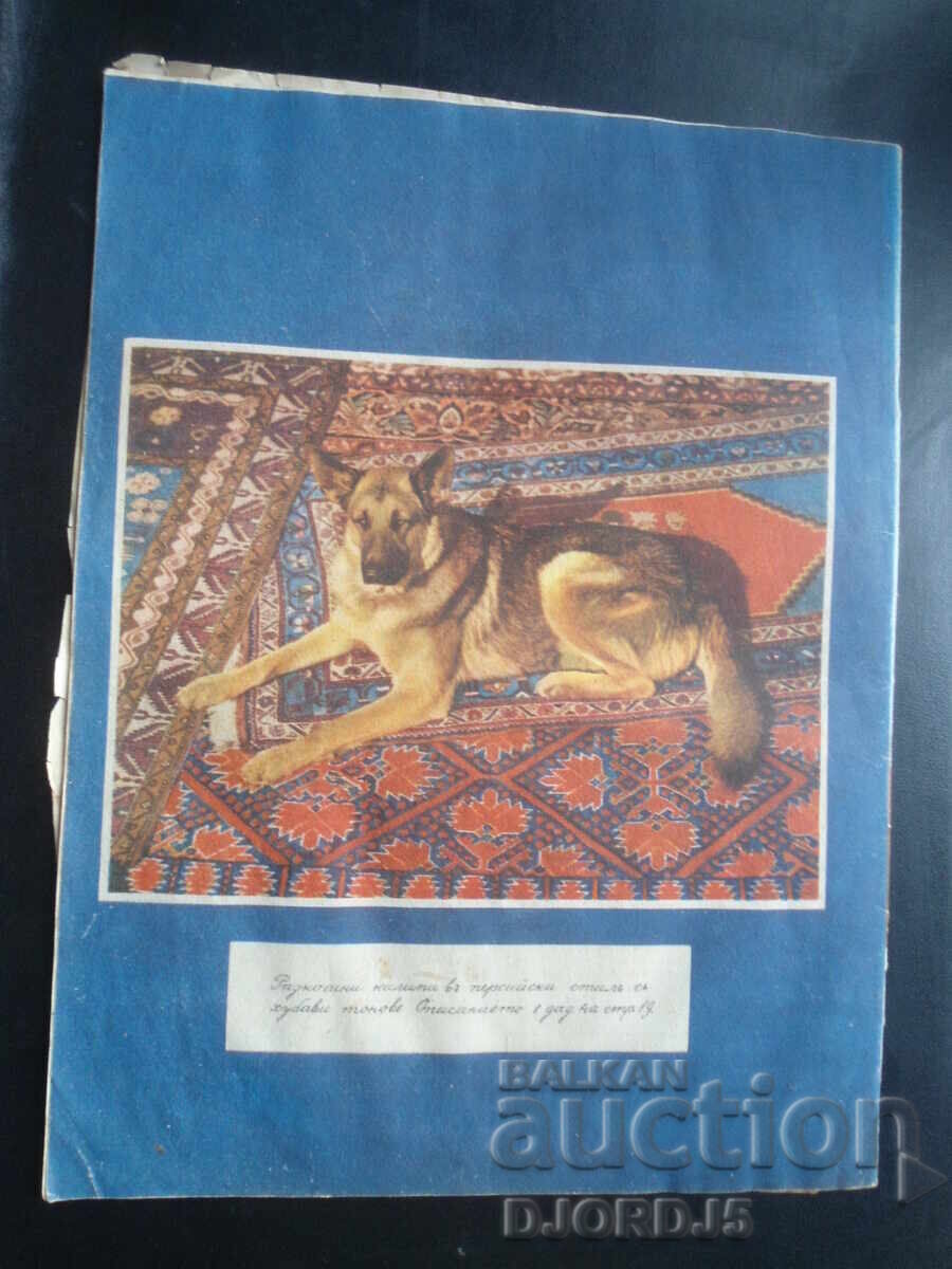 Auction  ECONOMY and HOUSEHOLD, Issue 2, October 1943