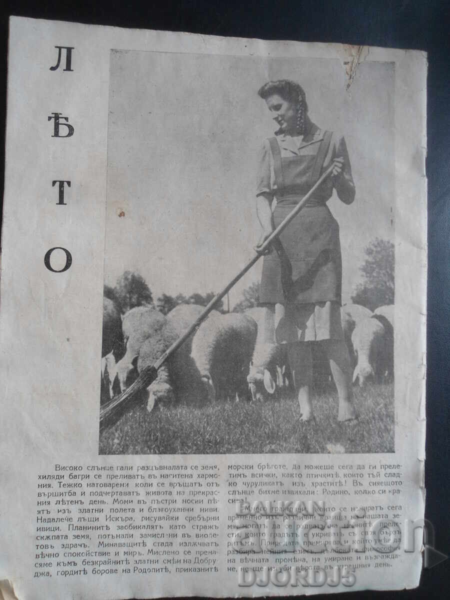 Licitație ECONOMIE și GOSPODĂRIE, Cărticica 7-8, Martie și Aprilie 1944