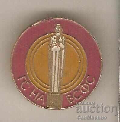 G S Badge on B S F S