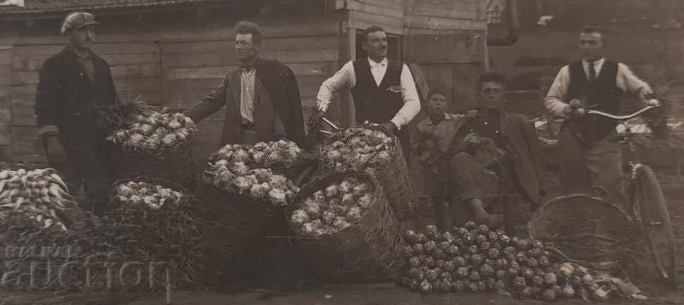 . ΒΟΥΛΓΑΡΟΙ ΚΗΠΟΥΡΟΙ ΕΞΩΤΕΡΙΚΟ ΦΩΤΟΦΩΤΟΦΩΤΟΓΡΑΦΙΑ ΒΑΣΙΛΕΙΟ με τιμή 5.00 BGN | € 2.56 . ΒΟΥΛΓΑΡΟΙ ΚΗΠΟΥΡΟΙ ΕΞΩΤΕΡΙΚΟ ΦΩΤΟΦΩΤΟΦΩΤΟΓΡΑΦΙΑ ΒΑΣΙΛΕΙΟ με τιμή 5.00 BGN | € 2.56