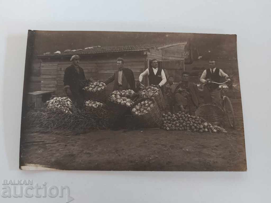 Δημοπρασία . ΒΟΥΛΓΑΡΟΙ ΚΗΠΟΥΡΟΙ ΕΞΩΤΕΡΙΚΟ ΦΩΤΟΦΩΤΟΦΩΤΟΓΡΑΦΙΑ ΒΑΣΙΛΕΙΟ Δημοπρασία . ΒΟΥΛΓΑΡΟΙ ΚΗΠΟΥΡΟΙ ΕΞΩΤΕΡΙΚΟ ΦΩΤΟΦΩΤΟΦΩΤΟΓΡΑΦΙΑ ΒΑΣΙΛΕΙΟ