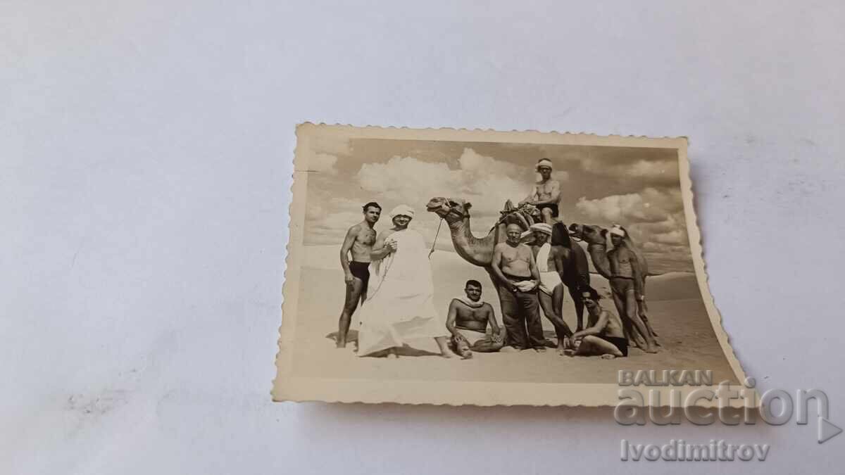 Снимка Мъже и младежи с камила на плажа Снимка Мъже и младежи с камила на плажа