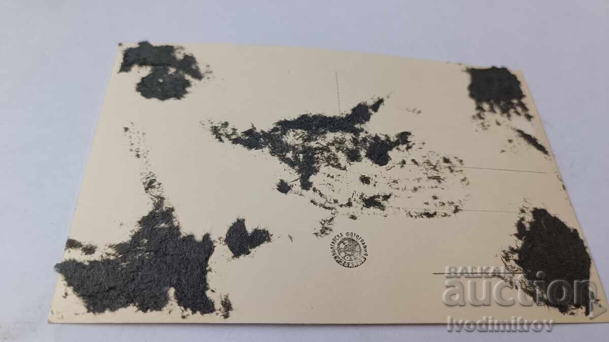 Postcard Stanke Dimitrov View with price 2.45 BGN | € 1.25 Postcard Stanke Dimitrov View with price 2.45 BGN | € 1.25