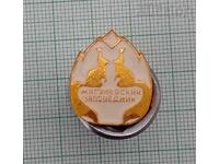 ZHIGULI RESERVE RUSSIA BADGE