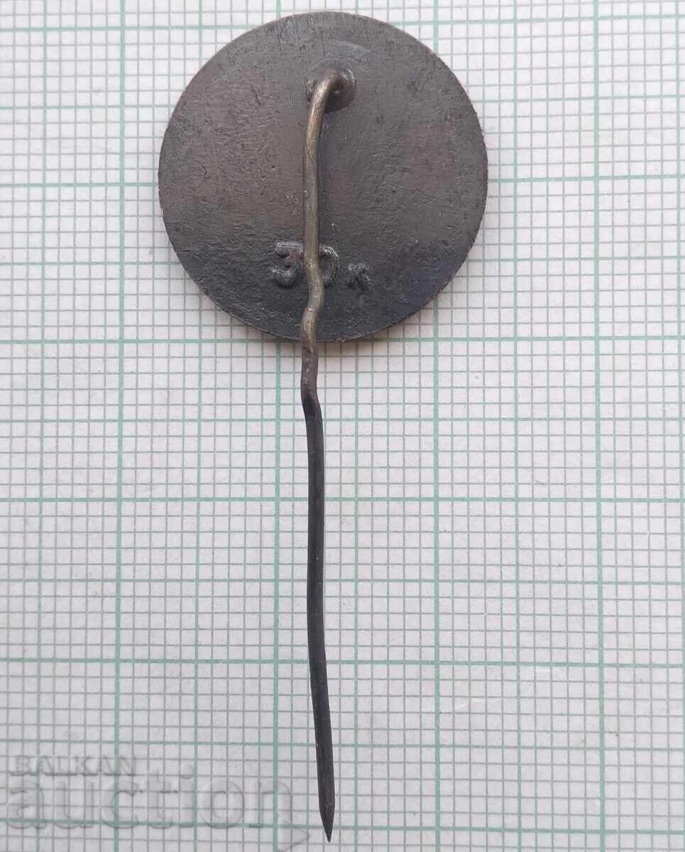 Auction 18716 Badges - Music Festival Auction 18716 Badges - Music Festival