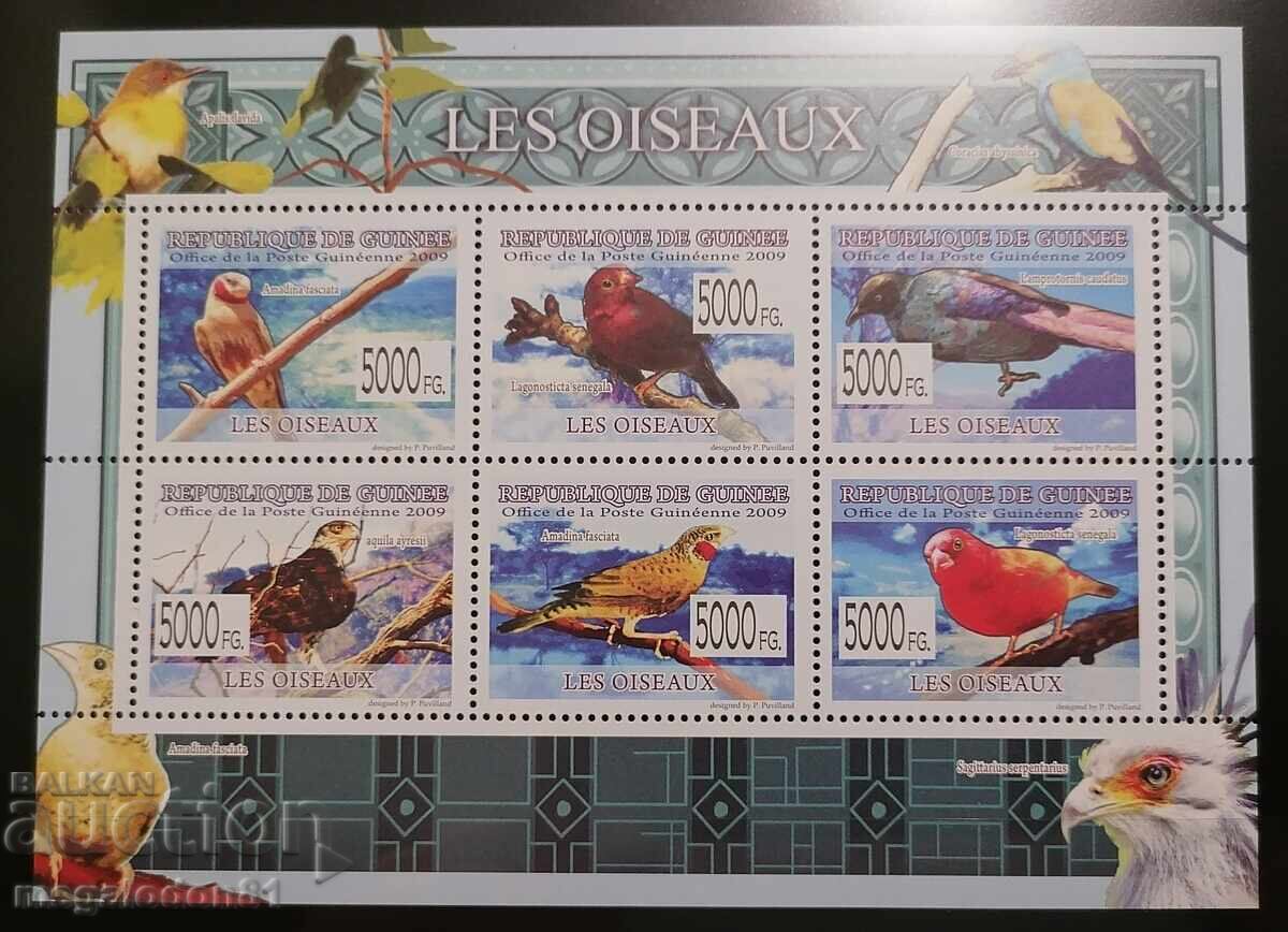 Παράδοση Δημοκρατία της Γουινέας - πανίδα πτηνών Παράδοση Δημοκρατία της Γουινέας - πανίδα πτηνών