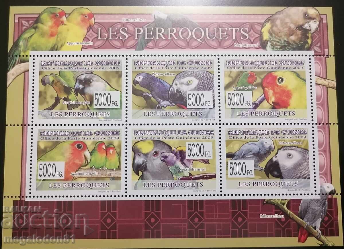 Δημοκρατία της Γουινέας - πανίδα πτηνών - 5 Δημοκρατία της Γουινέας - πανίδα πτηνών - 5