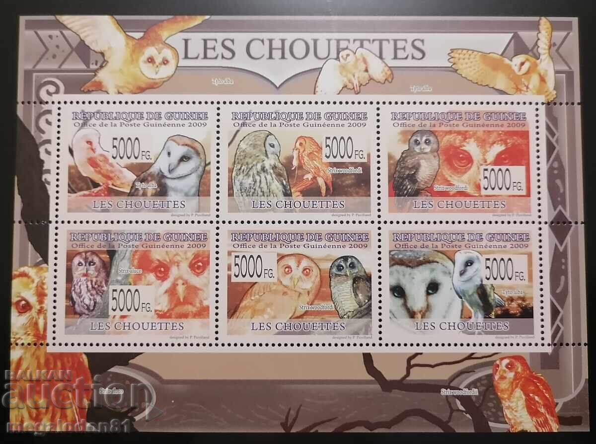 Δημοκρατία της Γουινέας - πανίδα πτηνών - 6 Δημοκρατία της Γουινέας - πανίδα πτηνών - 6