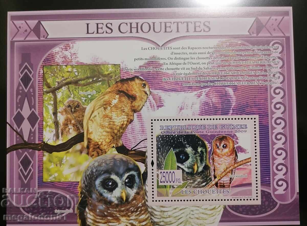 Δημοκρατία της Γουινέας - πανίδα πτηνών Δημοκρατία της Γουινέας - πανίδα πτηνών