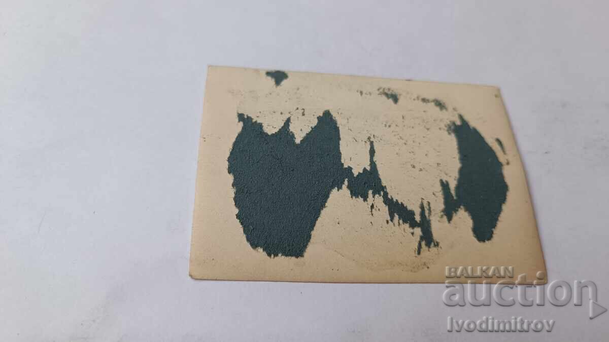 Fotografie Loc de lângă râu mare cu preț 1.85 BGN | € 0.95 Fotografie Loc de lângă râu mare cu preț 1.85 BGN | € 0.95