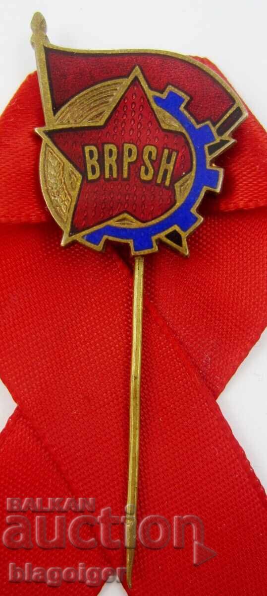 Auction Communist Youth - Albania - Albanian Youth Union - Old Auction Communist Youth - Albania - Albanian Youth Union - Old