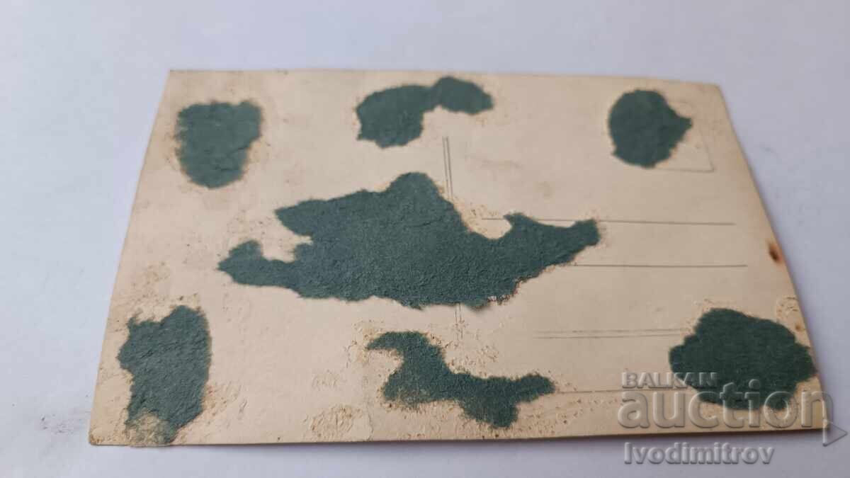 Φωτογραφία Νέων κοριτσιών με λευκά φορέματα με τιμή 2.45 BGN | € 1.25