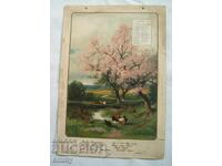 Litografie desenată Cireș japonez - foaie de calendar