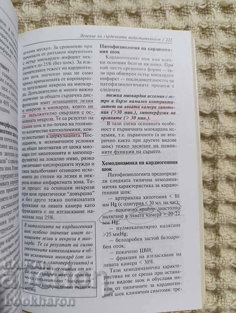 Auction  Mladen Grigorov: Heart Failure