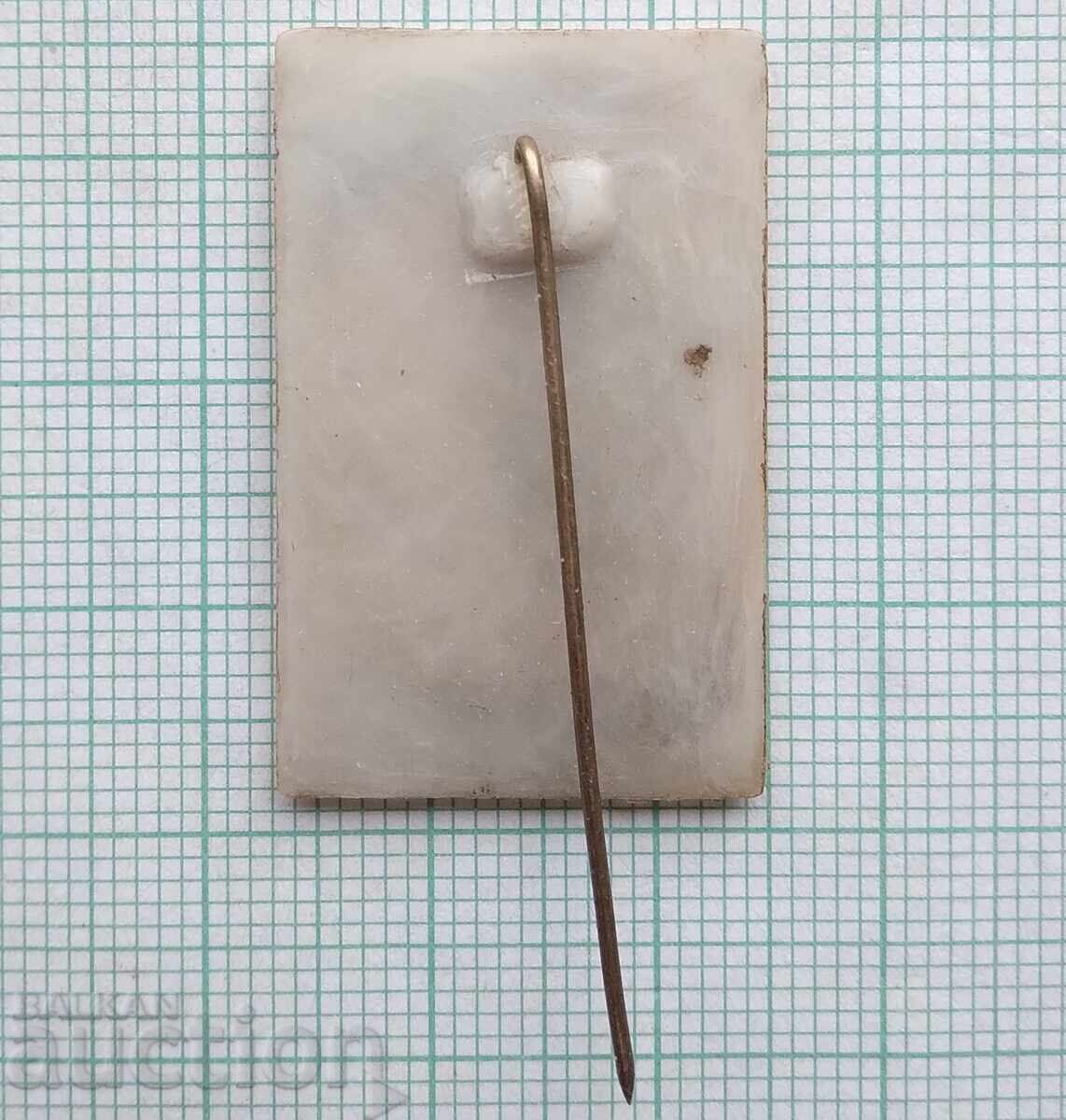 Auction  18755 Badges - 25 Years of Victory of Pharmahim